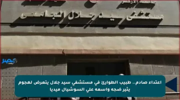 اعتداء صادم.. طبيب الطوارئ في مستشفى سيد جلال يتعرض لهجوم يثير ضجة واسعة على السوشيال ميديا